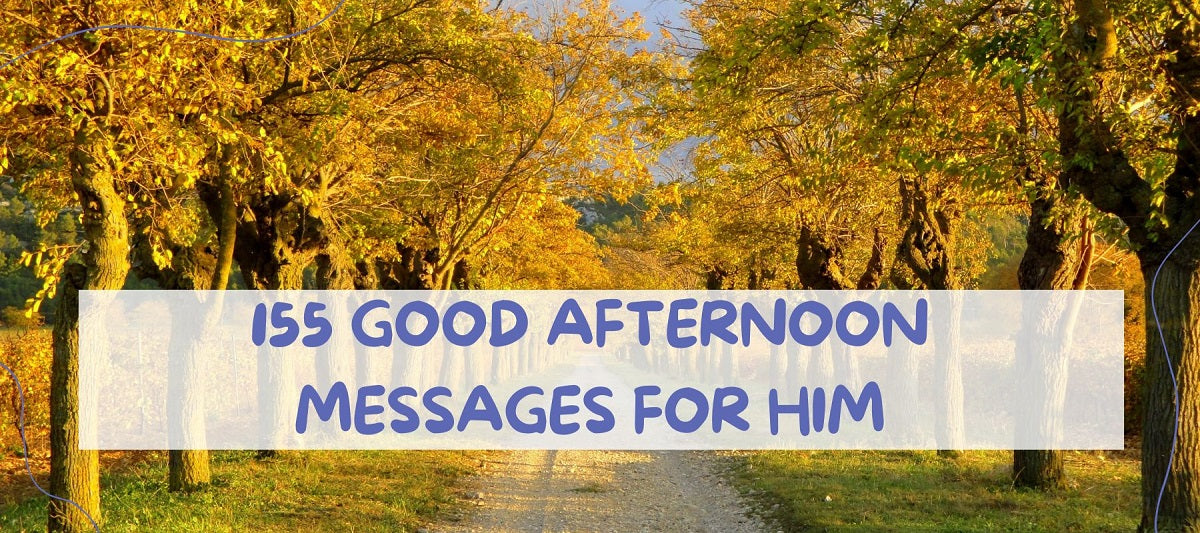 155 good afternoon messages for him