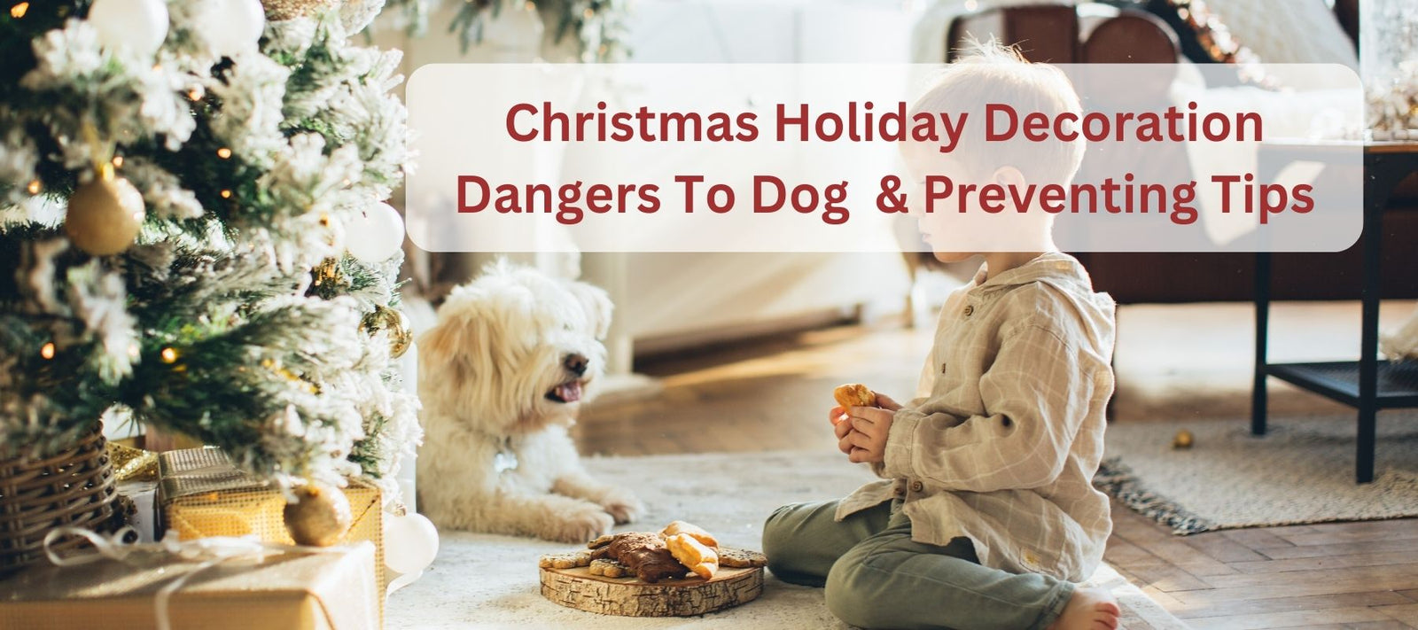 what-to-do-if-dog-eats -christmasornament