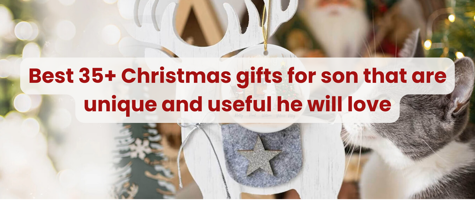Best 35+ Christmas gifts for son that are unique and useful he will love