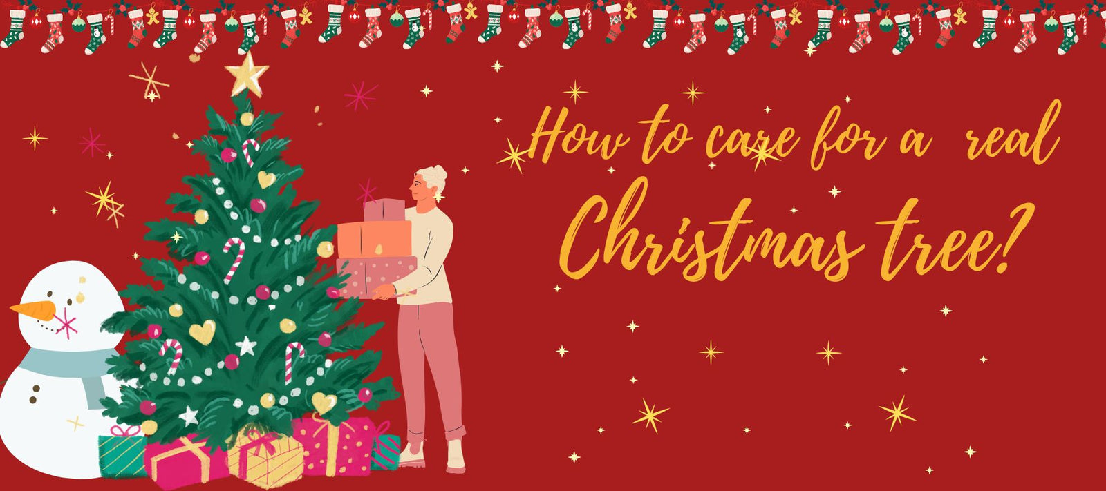 How-to-care-for-Christmas-tree