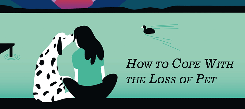 Cope with the loss of pet