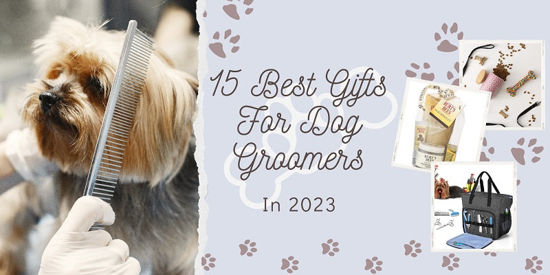 The Best Pet Gifts for Dog Lovers and Their Furry Friends to Enjoy