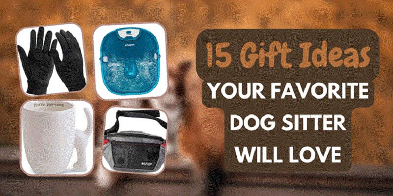 15 Gift Ideas Your Favorite Dog Sitter Will Love