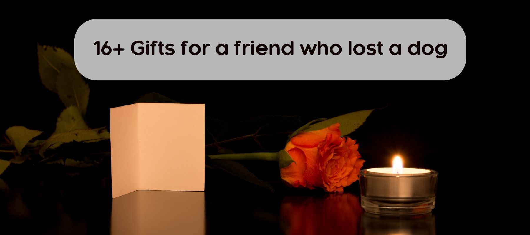Gifts-for-friend-who-lost-dog