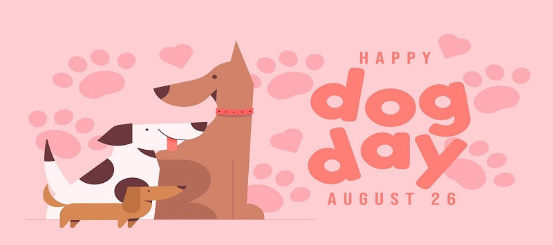 30 Quotes to Celebrate National Dog Day 2023