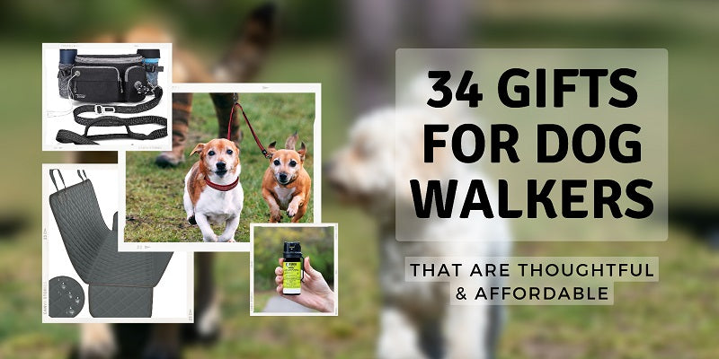 34 Gifts for Dog Walkers That Are Thoughtful & Affordable