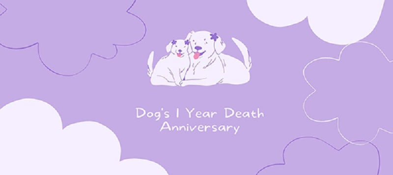 37 Things to Do on Your Dog's 1 Year Death Anniversary
