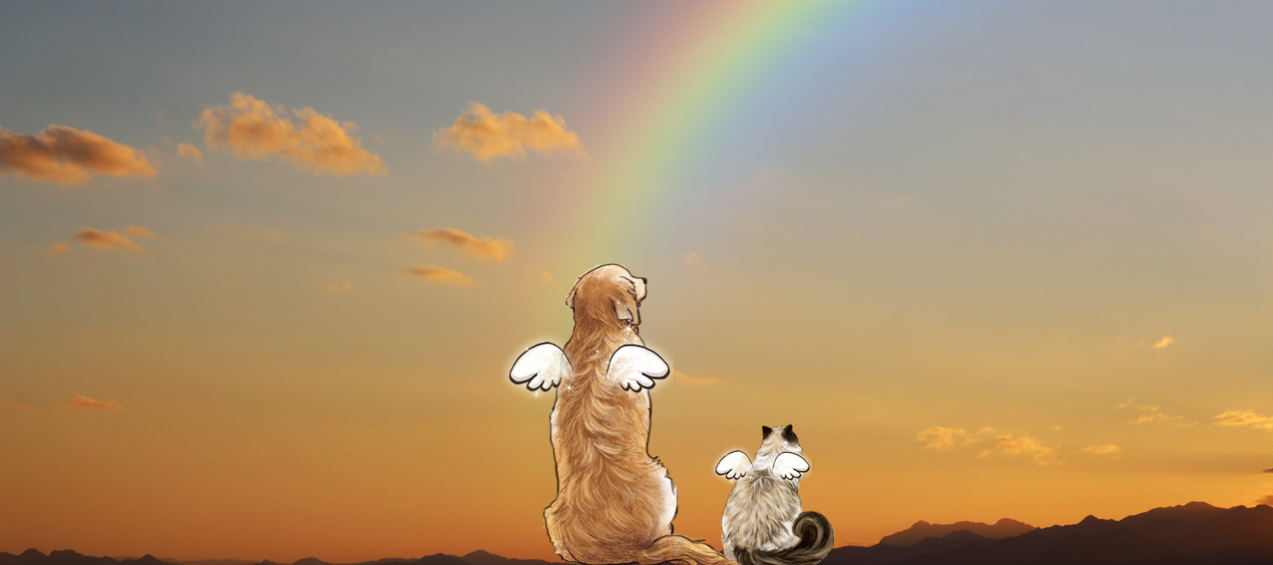 What is the rainbow bridge and after the loss of our pets, why do we say they crossed it?