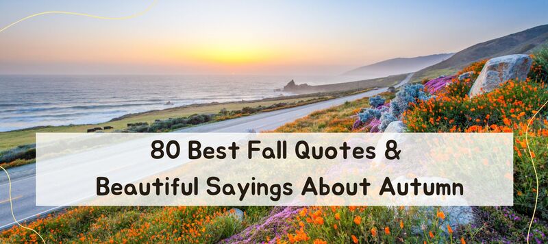 80 Best Fall Quotes & Beautiful Sayings About Autumn