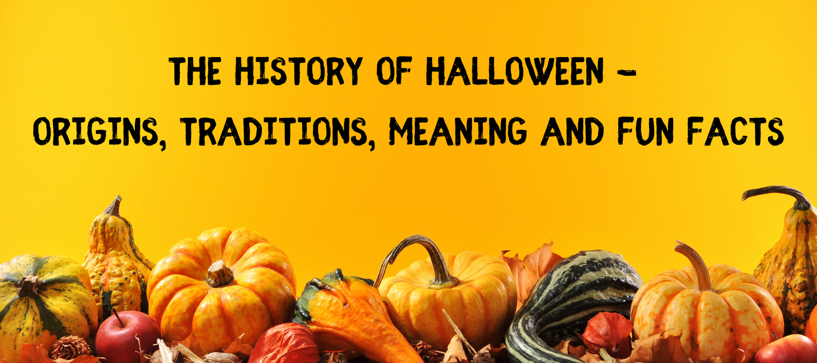 The History of Halloween - Origins, traditions, meaning and fun facts -  Unifury