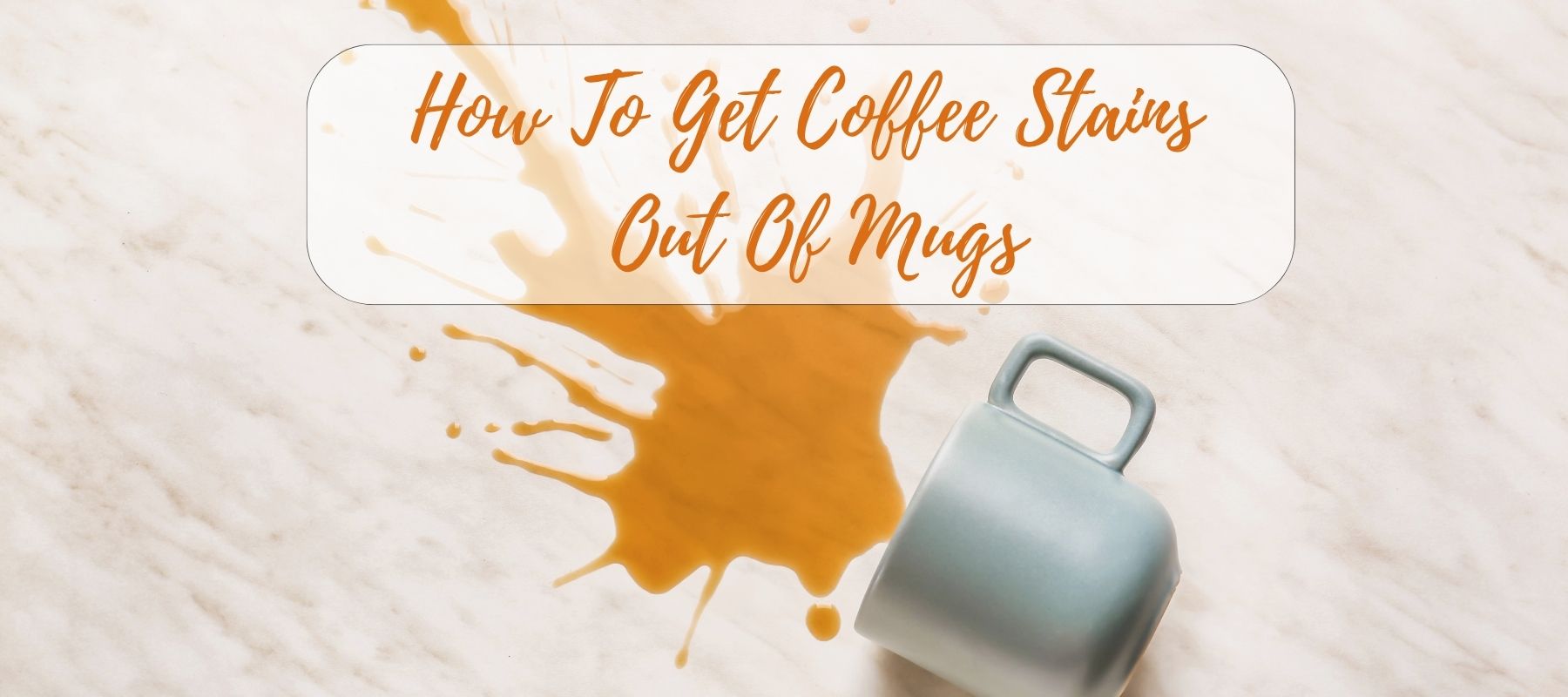 How To Get Coffee Stains Out Of Mugs Unifury