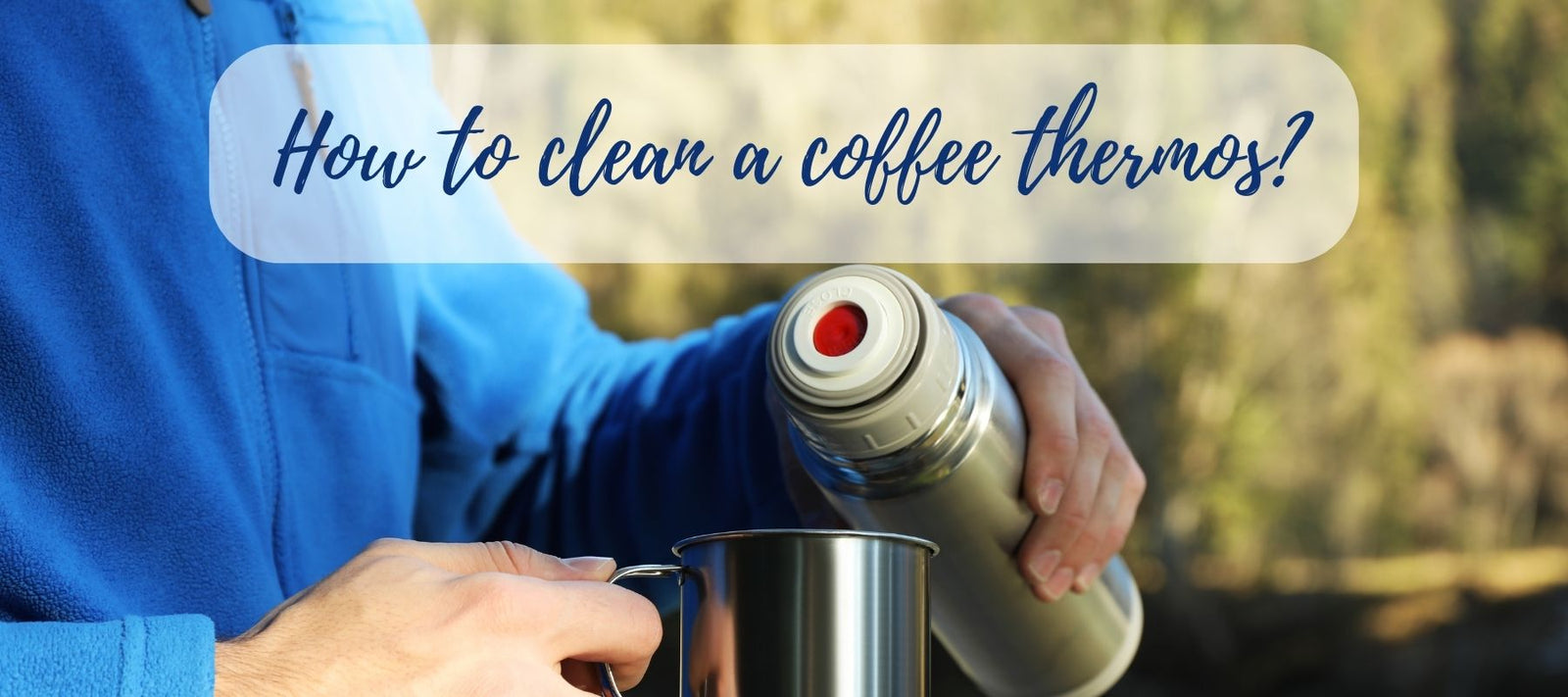 Tea thermos: tips for choosing