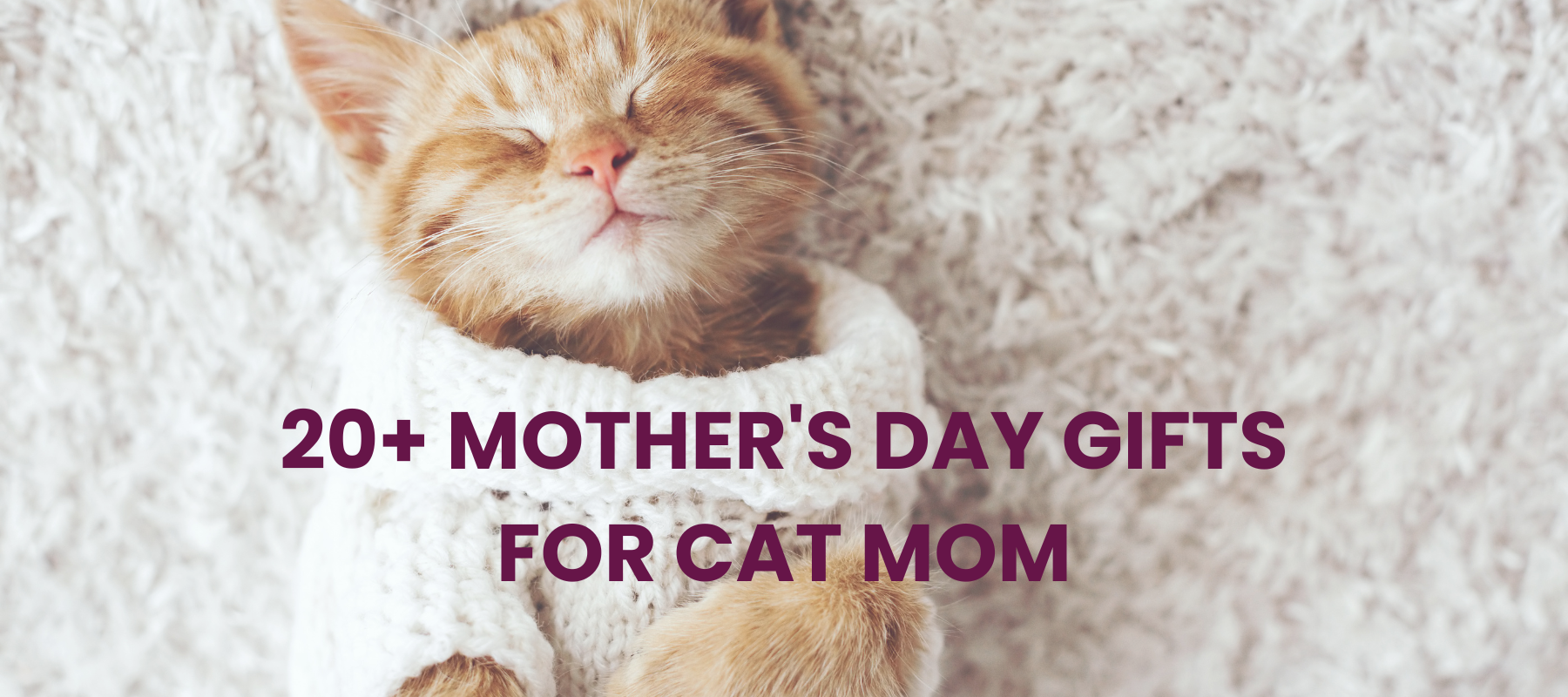 Best 20+ Mother’s Day Gifts for Cat Moms & Cat Lovers