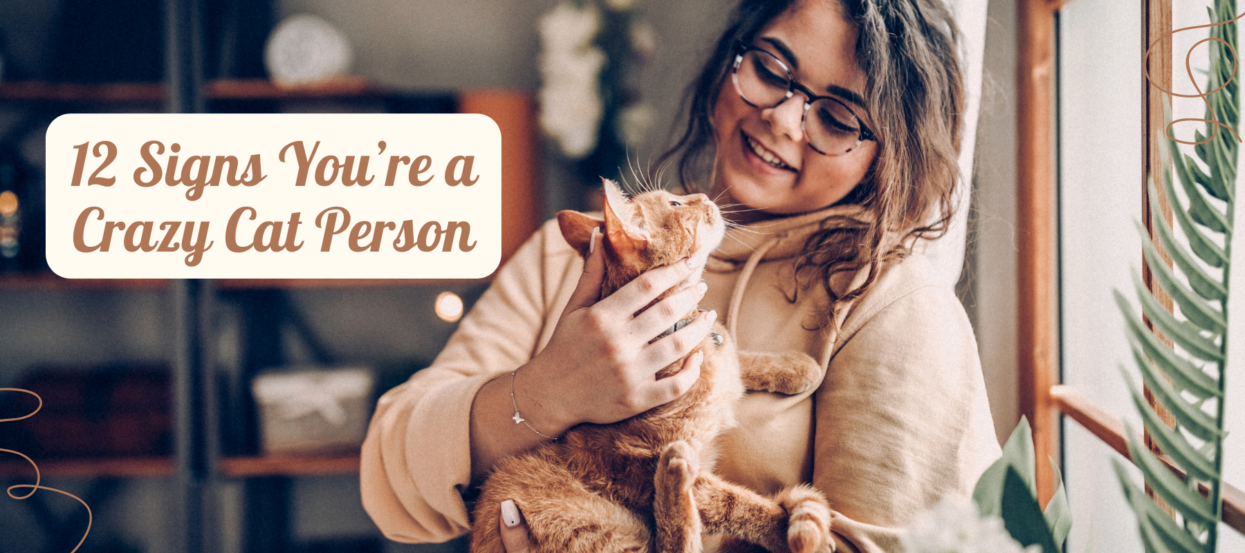 12 Signs You’re a Crazy Cat Person