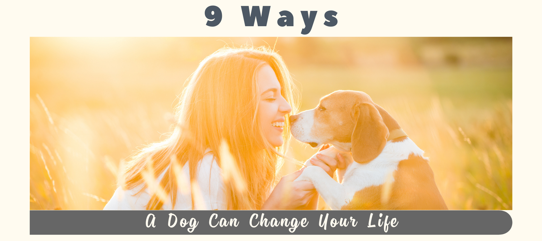 9 Ways a Dog Can Change Your Life
