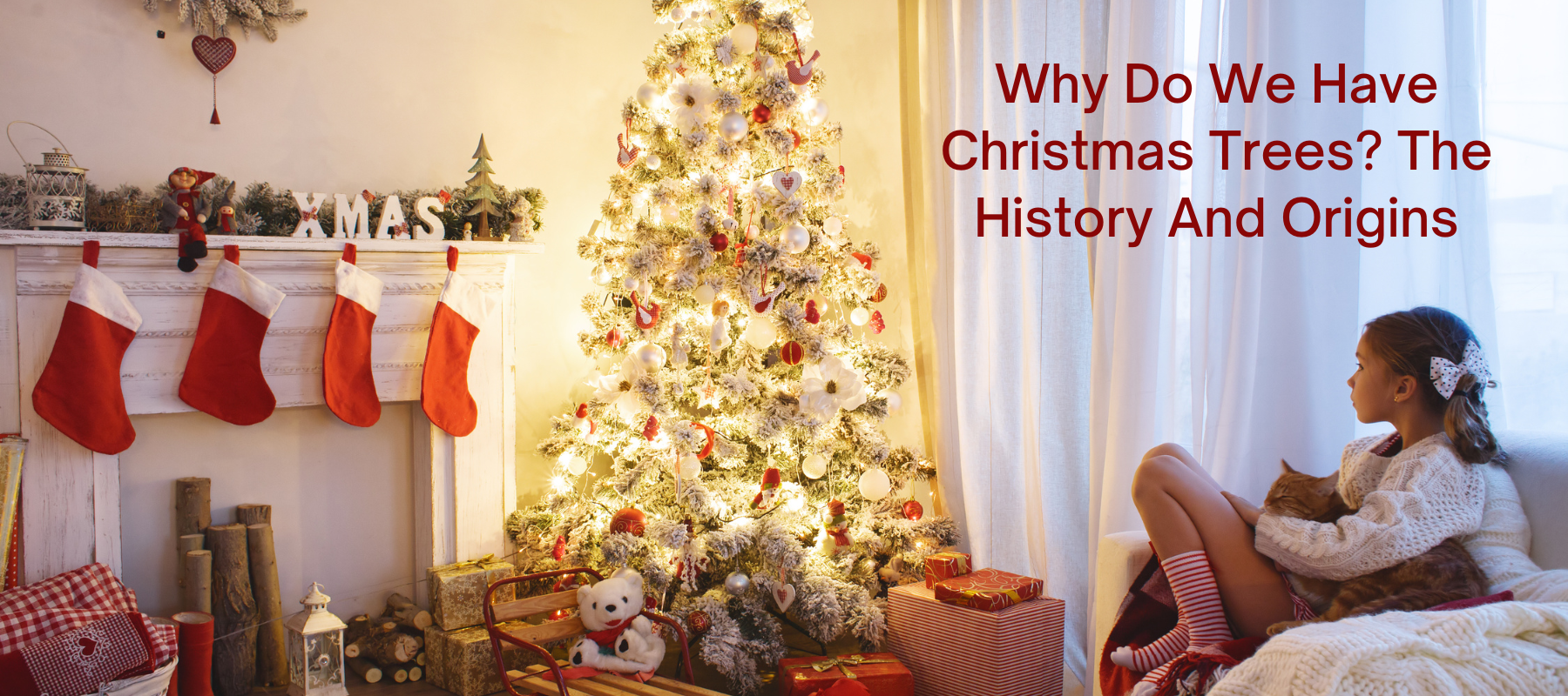 Why Do We Have Christmas Trees? The History And Origins