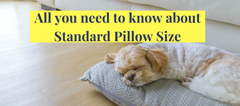 All you need to know about Standard Pillow Size