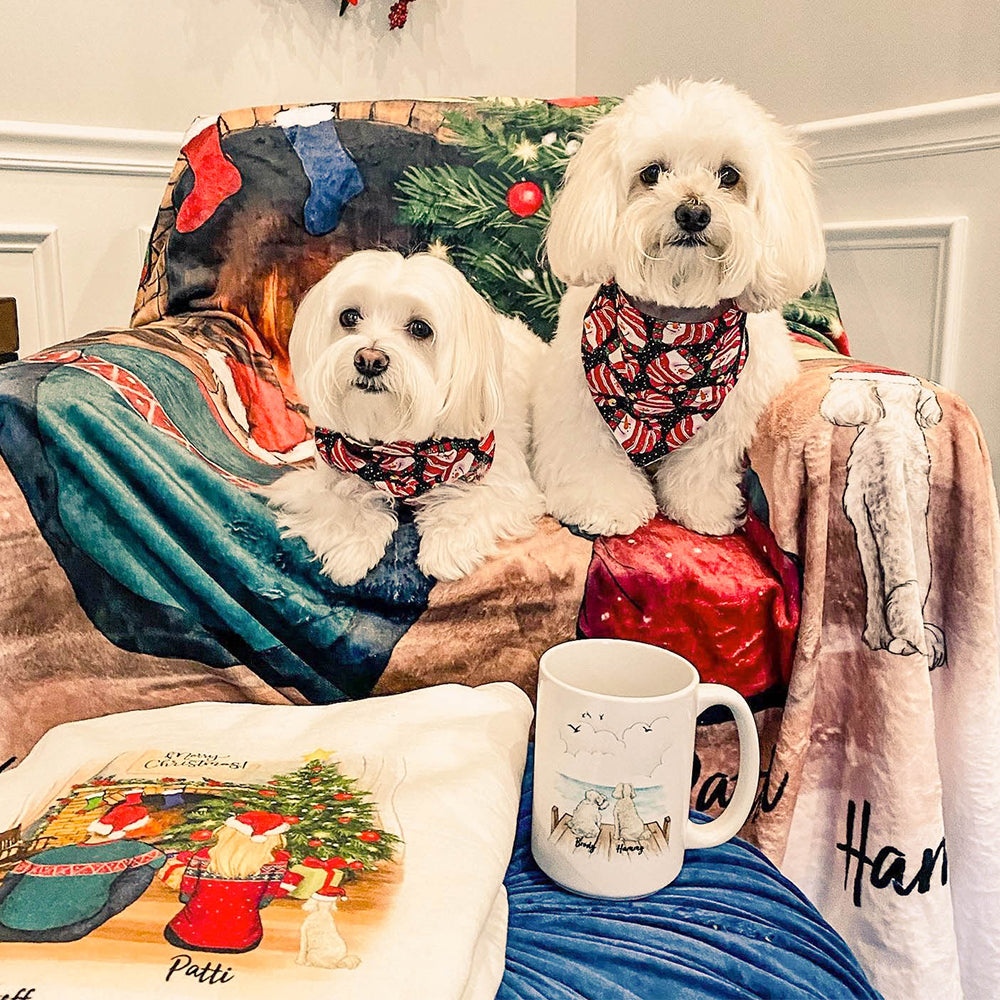 Personalized pet memorial mug, accent mug, campfire mug, pillow, canvas print, blanket