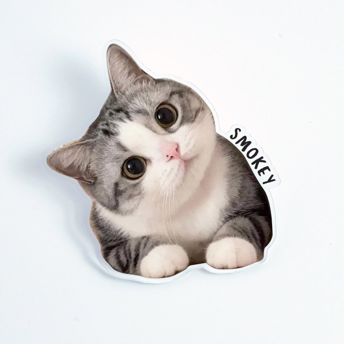 Custom Pet Photo Car Visor Clip