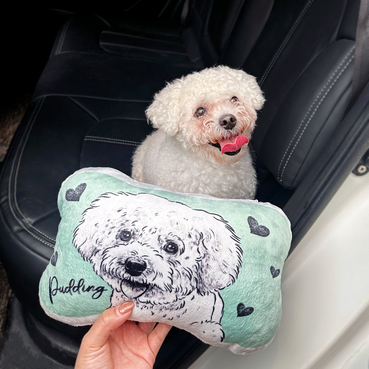 Pet Drawing Car Neck Pillow