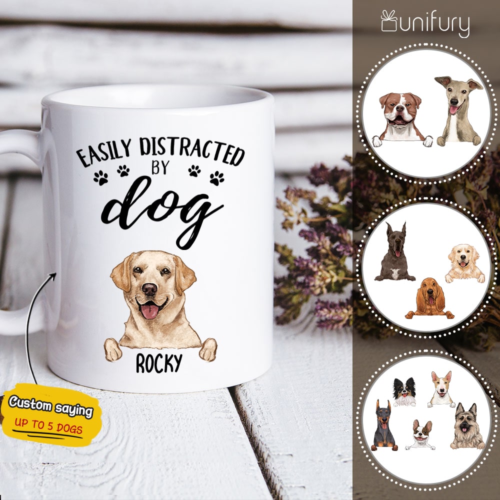 Easily distracted by dog