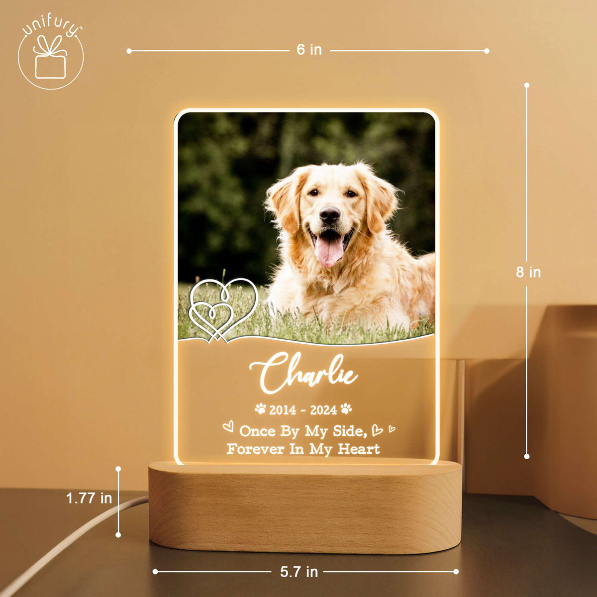 Forever In My Heart Pet Memorial LED Night Light