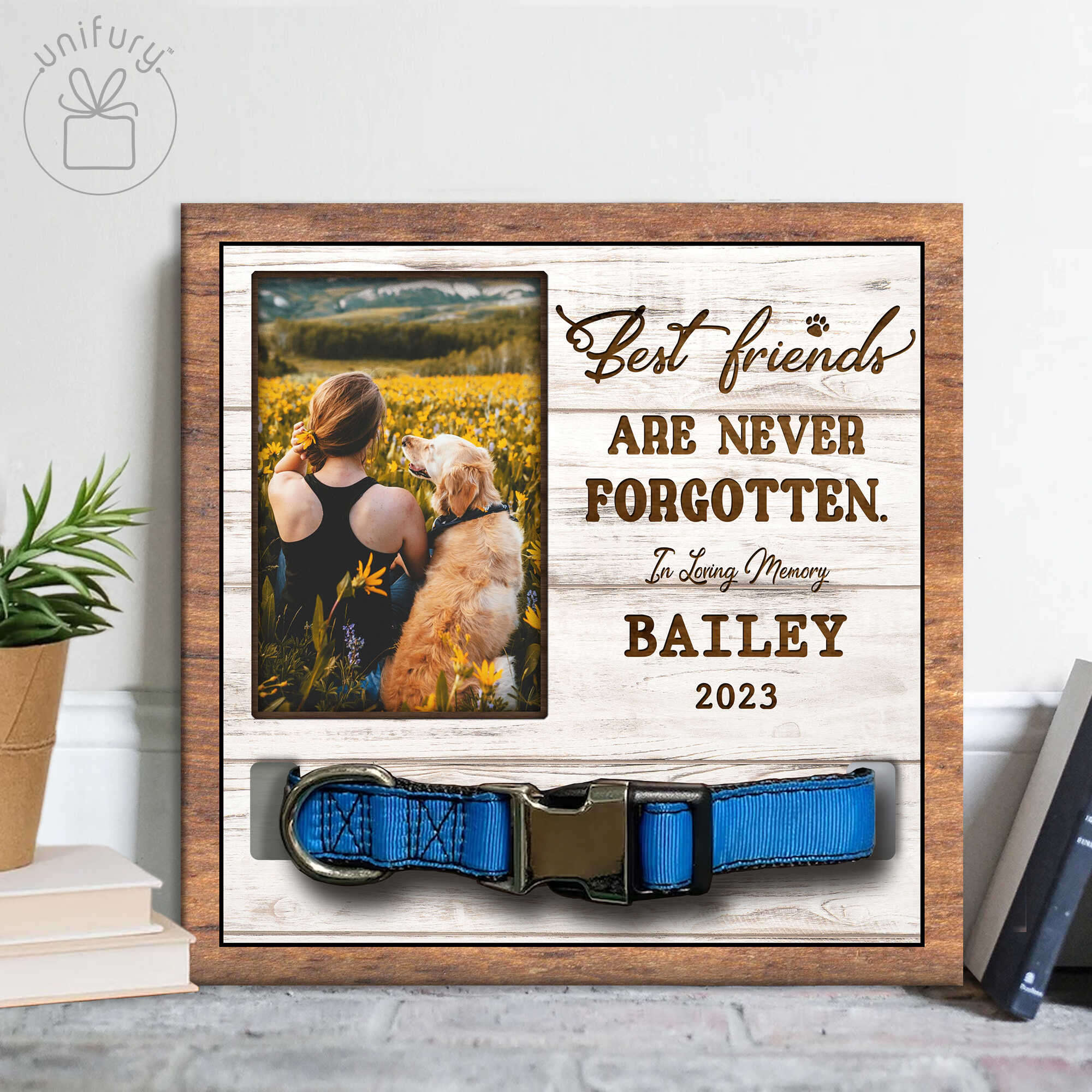 Colar Frame Best Friends Are Never Forgotten Pet Collar Frame - Unifury