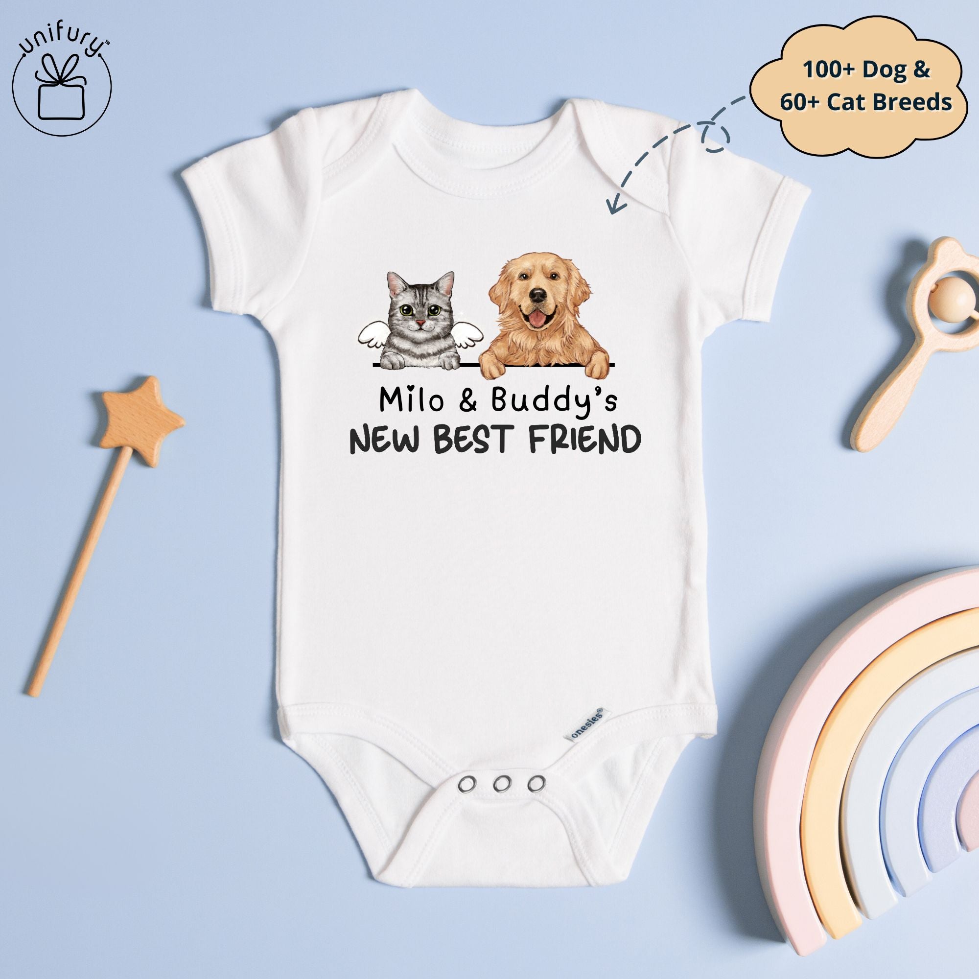 Which Cat Breeds are the Friendliest? Top Loving Feline Picks