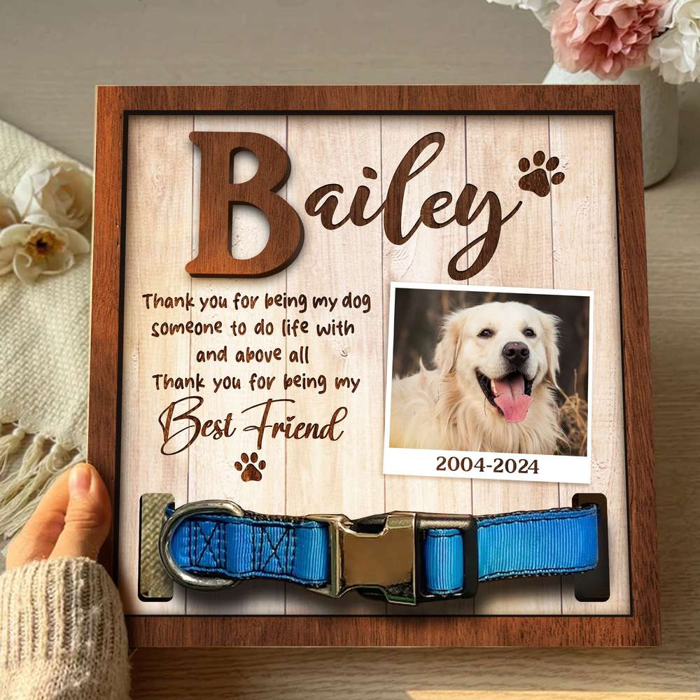 Thank You For Being My Best Friend Pet Collar Frame