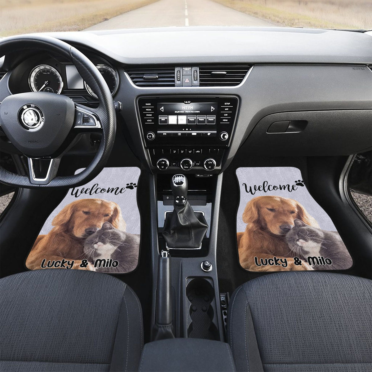 Custom Hand-drawn Pet Portrait Car Floor Mat