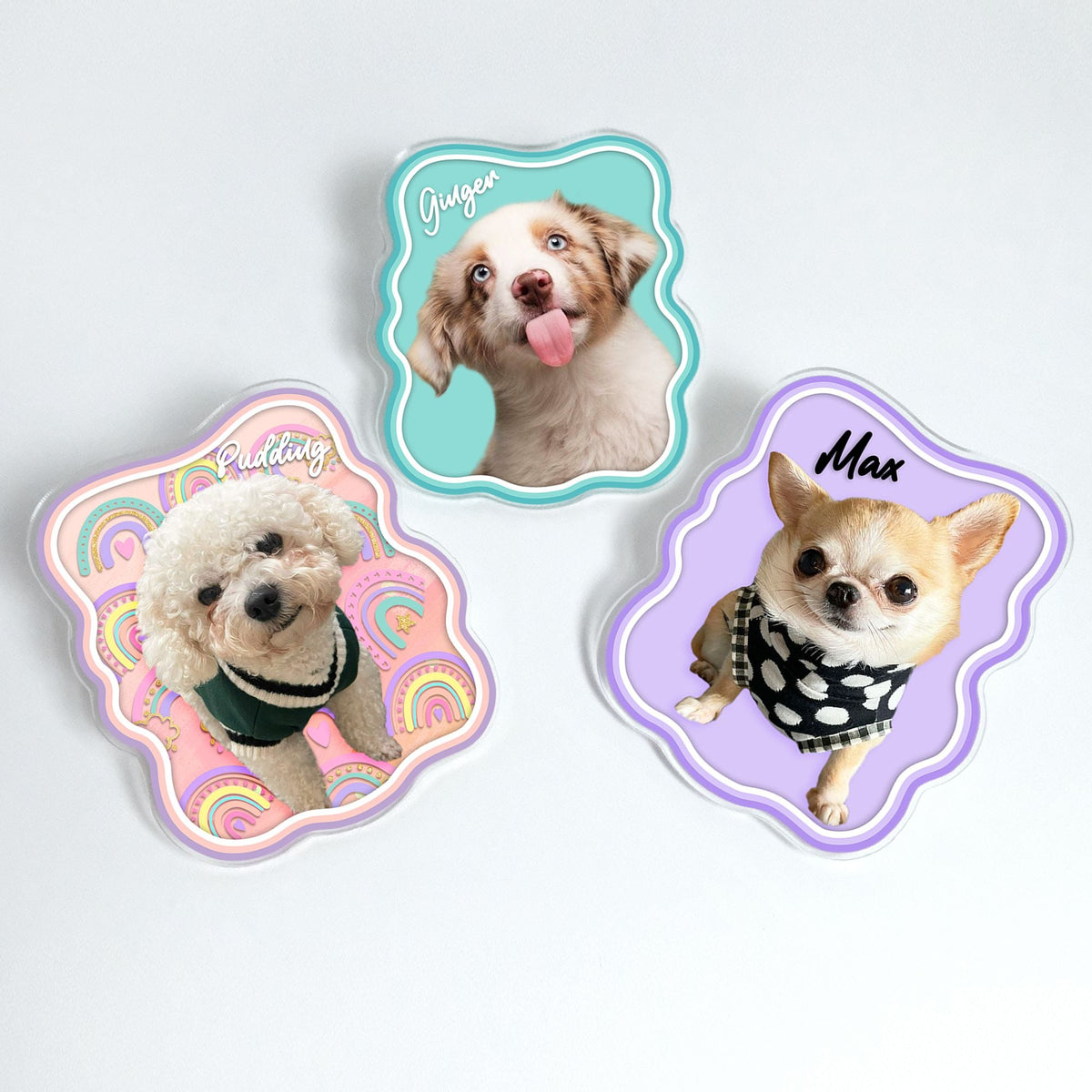 Pet Photo Boho Style Car Visor Clip