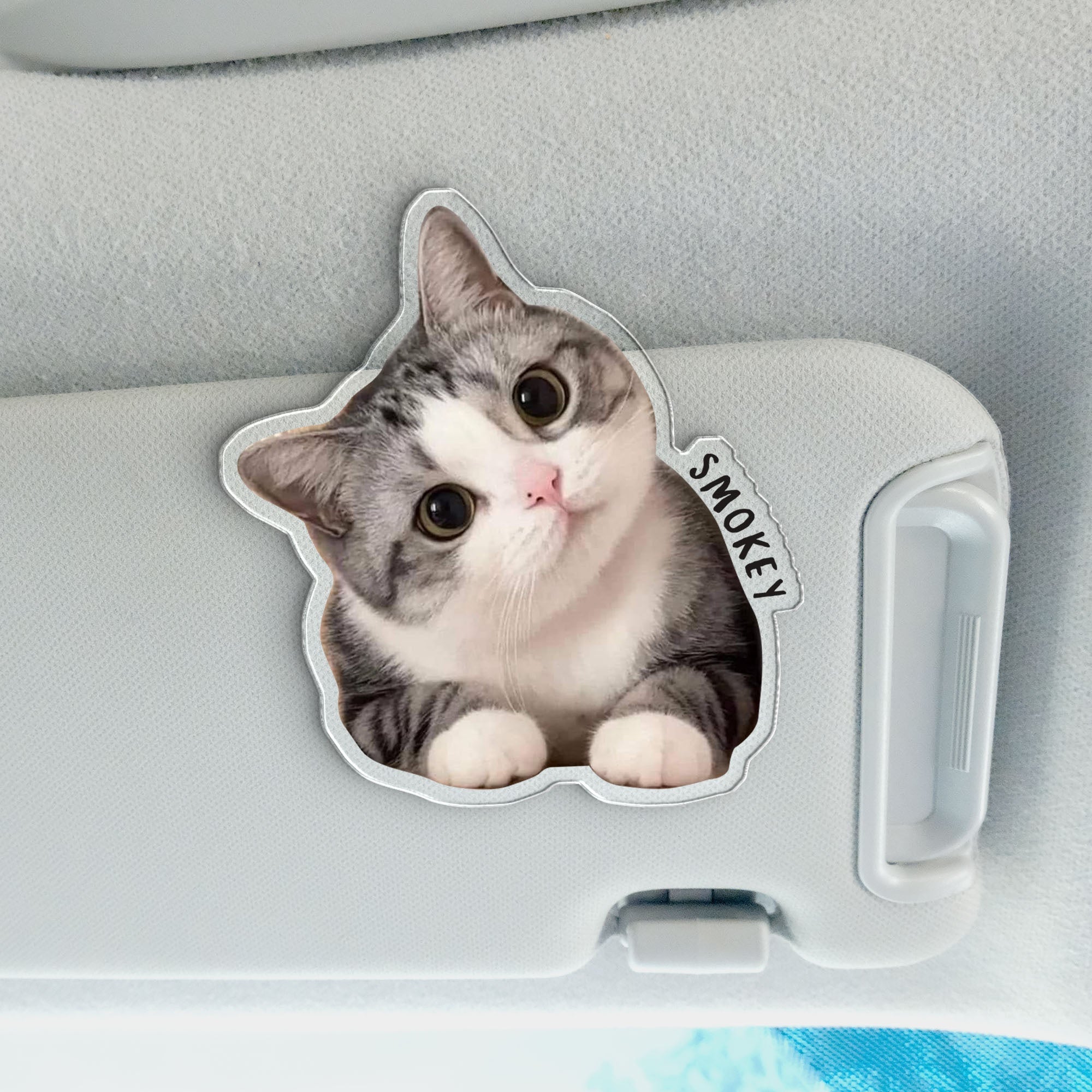Custom Pet Photo Car Visor Clip