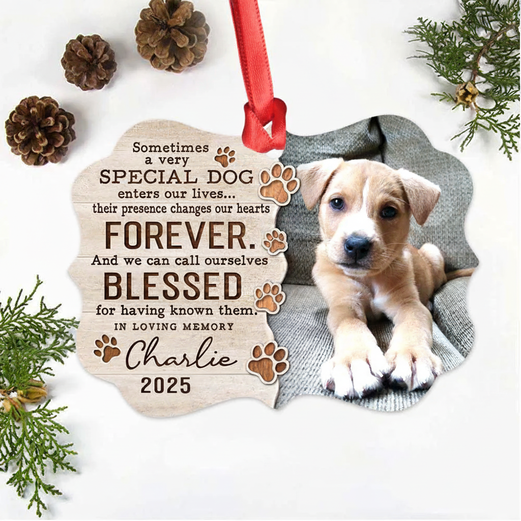 Personalized Memorial Medallion Metal Ornament gifts for dog lovers - Sometimes a very special dog - Custom Photo