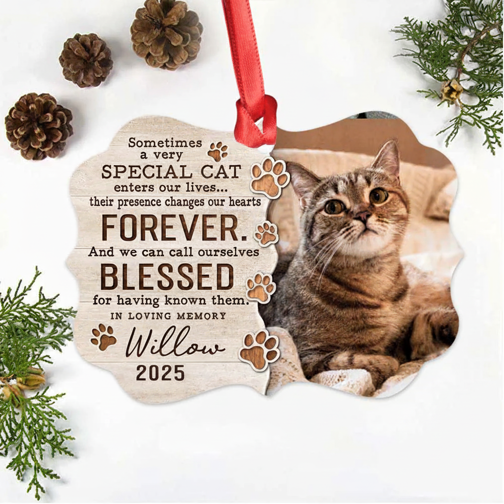 Personalized Memorial Medallion Metal Ornament gifts for cat lovers - Sometimes a very special cat - Custom Photo