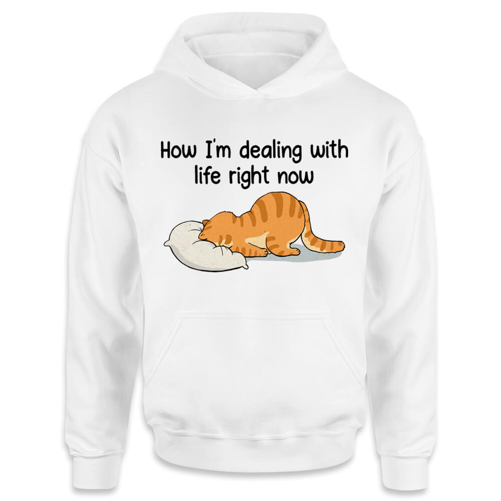 How I&#39;m dealing with life right now hoodie funny gifts for cat lovers