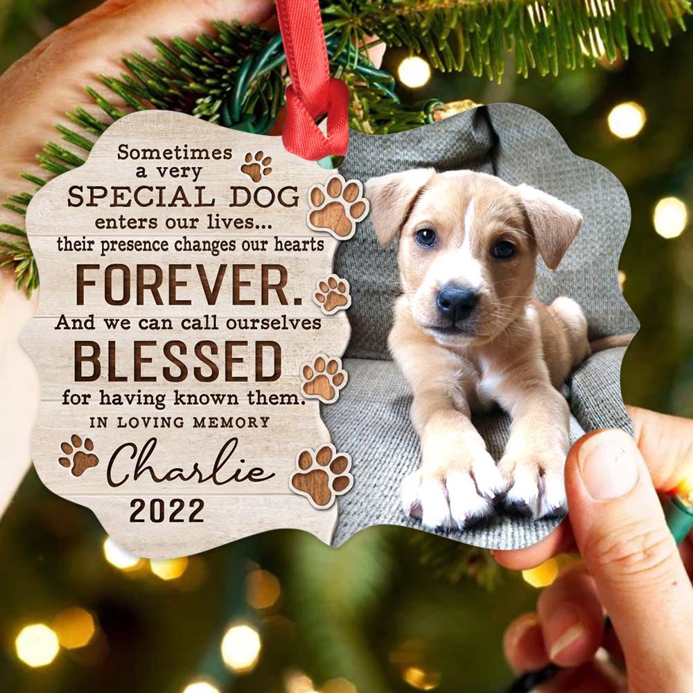 Personalized Memorial Medallion Metal Ornament gifts for dog lovers - Sometimes a very special dog - Custom Photo