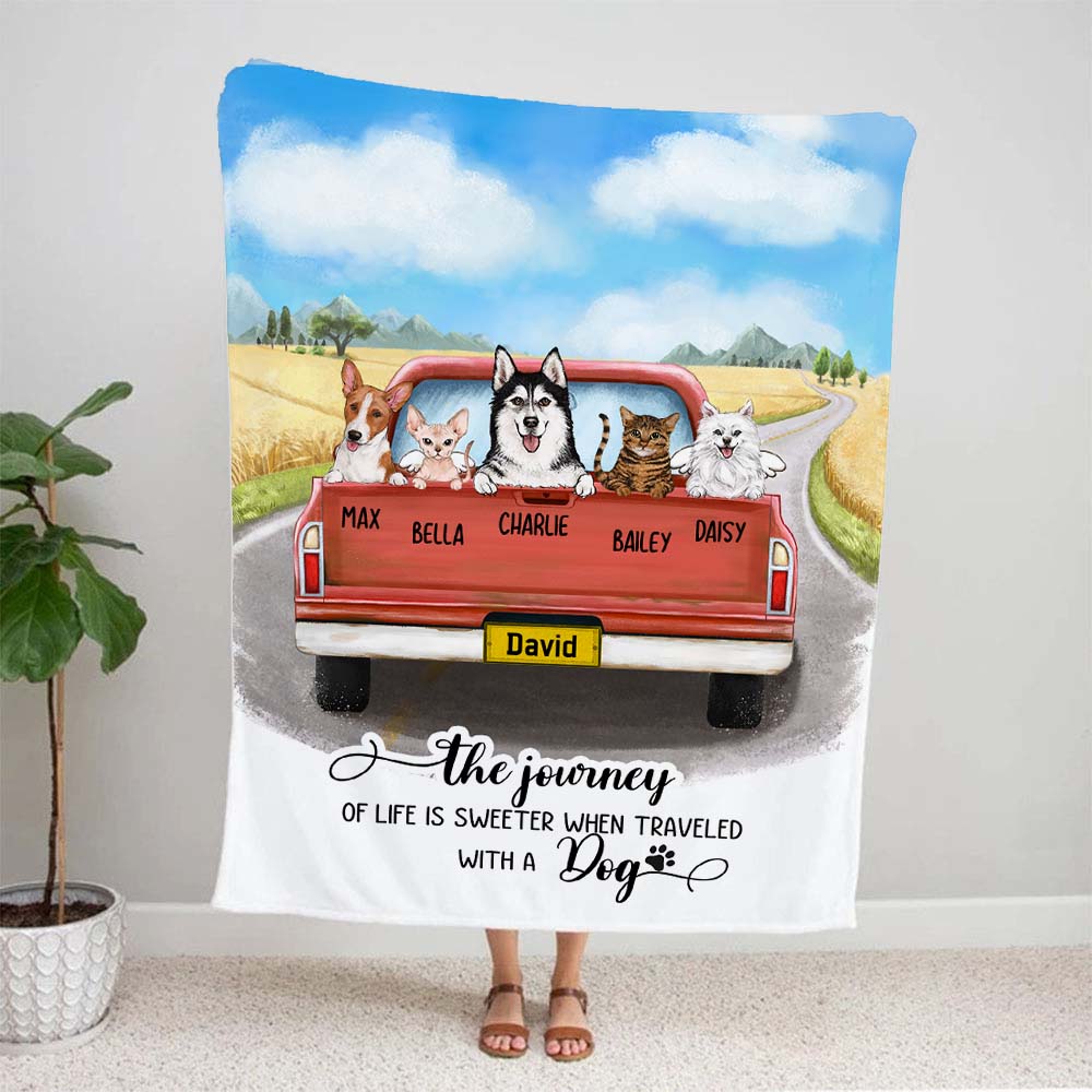 Dog blanket for discount truck